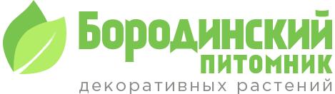 Бородинский питомник декоративных растений